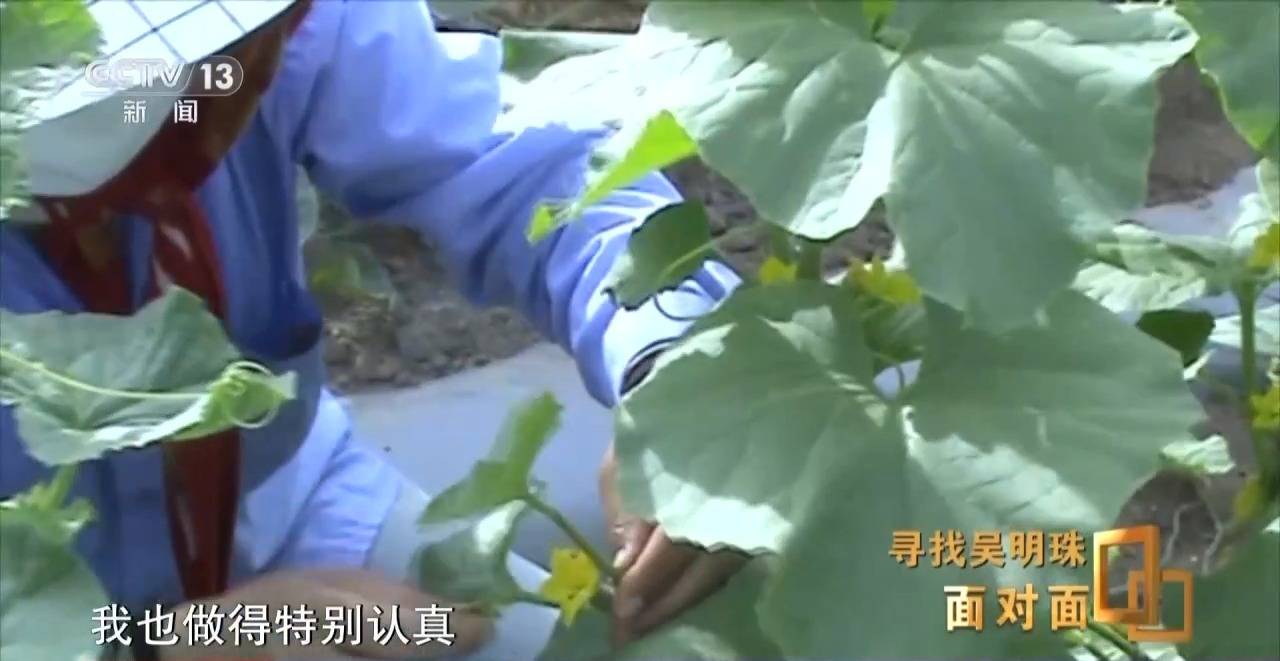 面對面丨中國人的吃瓜自由要感謝她！吳明珠說她的一生就是結(jié)幾個好瓜獻給人民