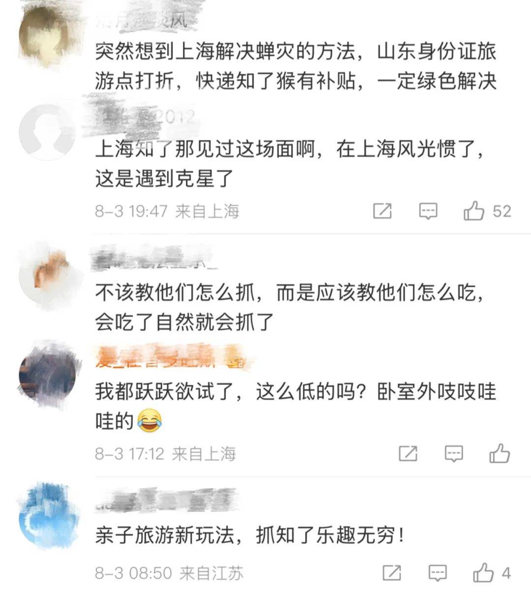山東父子在上海抓知了降維打擊，“孩子一分鐘徒手抓了十幾只”