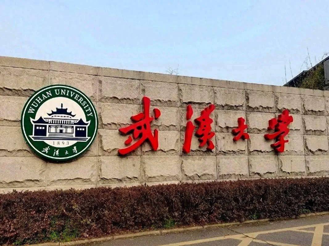 害人害己！武大楊某踢到鐵板，知情人曝將被開除，到手的博士難保