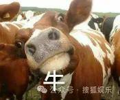 調侃“接受不了生女兒”被罵好幾天，他自曝差點因此家庭破裂......
