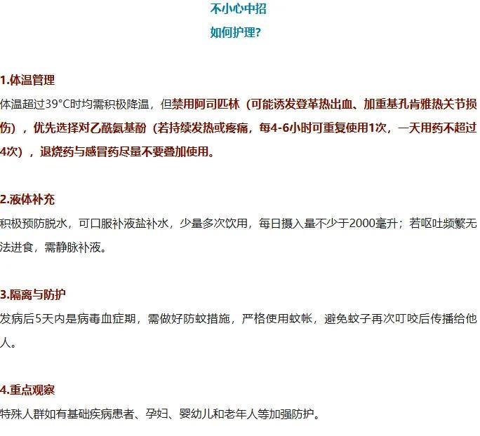 全民滅蚊總動員，大廣東給我們上了一課