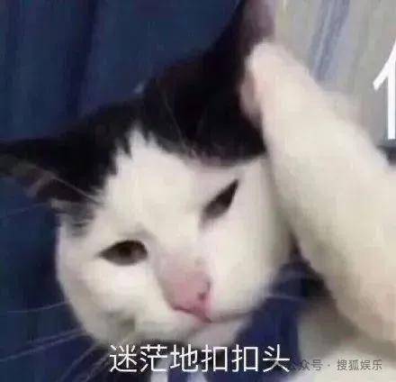 離婚三年又被拍到親密逛超市，他倆這是純帶娃還是真復(fù)合了？