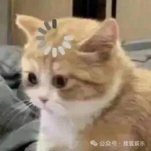 離婚三年又被拍到親密逛超市，他倆這是純帶娃還是真復(fù)合了？