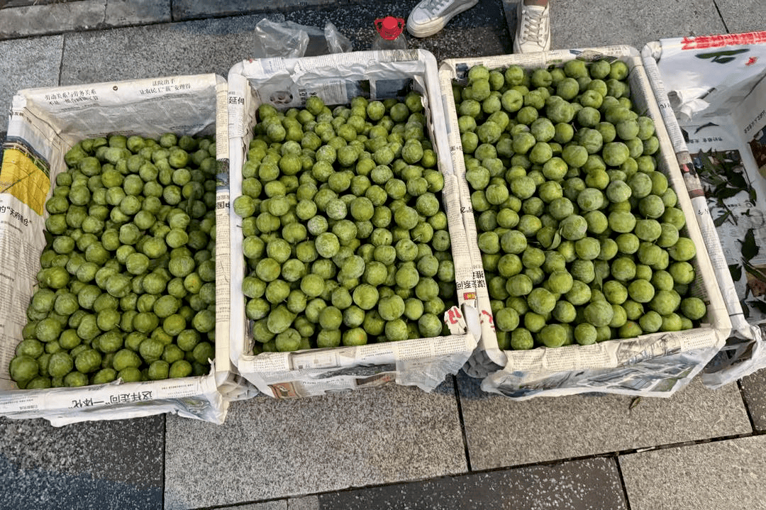 成都街頭9.8元/斤的“蜂糖李”其實(shí)是青脆李？專家：存在以次充好情況，注意辨認(rèn)｜追蹤到底