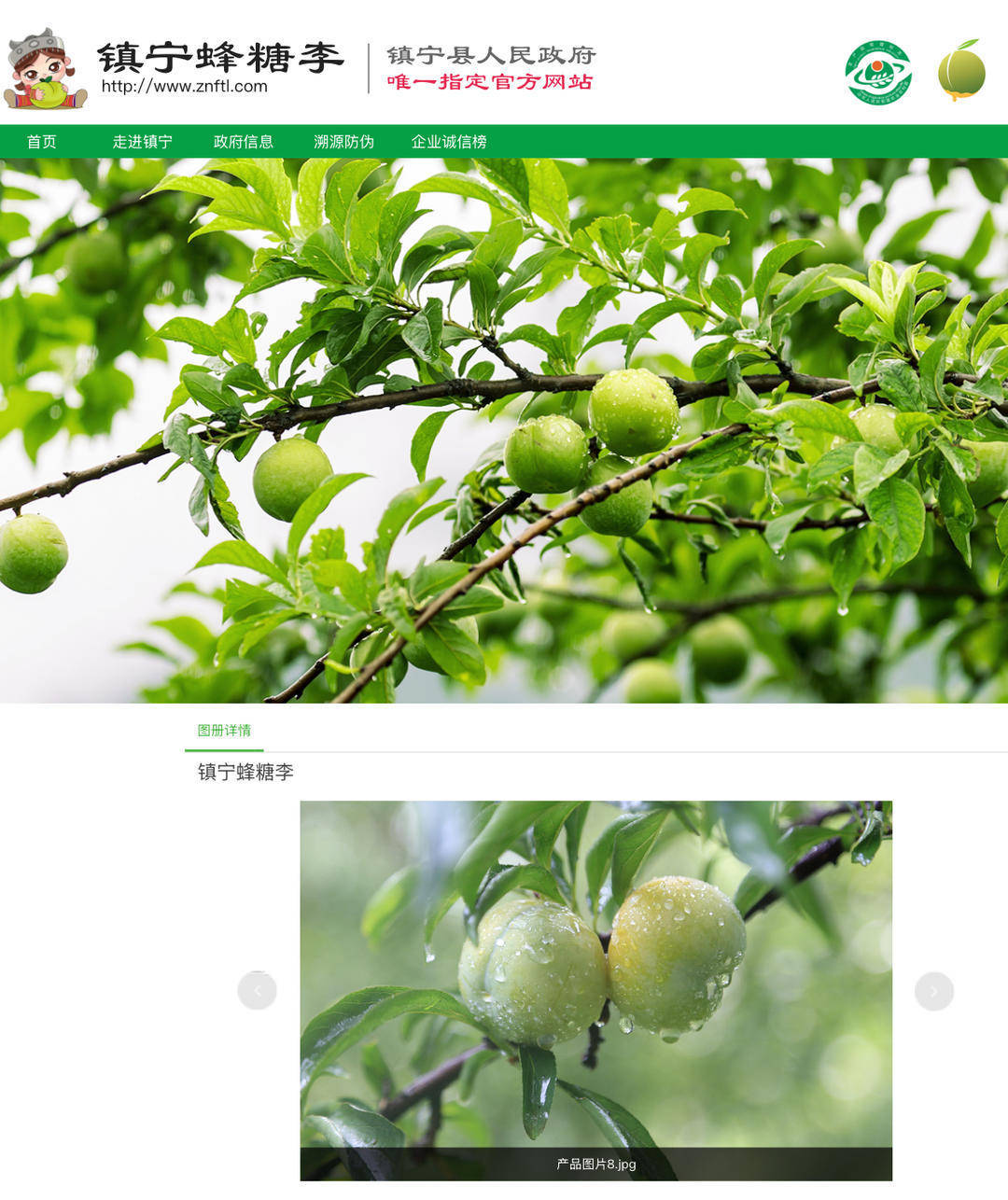 成都街頭9.8元/斤的“蜂糖李”其實(shí)是青脆李？專家：存在以次充好情況，注意辨認(rèn)｜追蹤到底