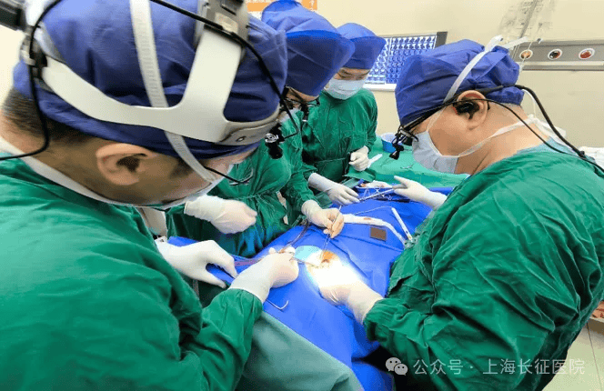 全球罕見！中國醫(yī)生救回“身首離斷”患者