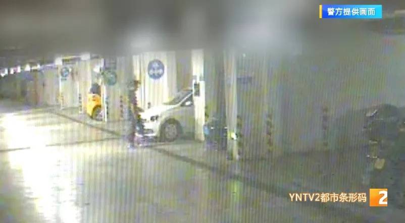 凌晨怪事！男子提著茅臺(tái)袋子在車庫(kù)，翻垃圾桶竟為了.....