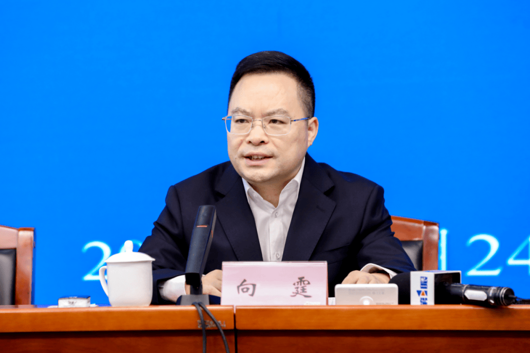 中央巡視期間，向霆被查