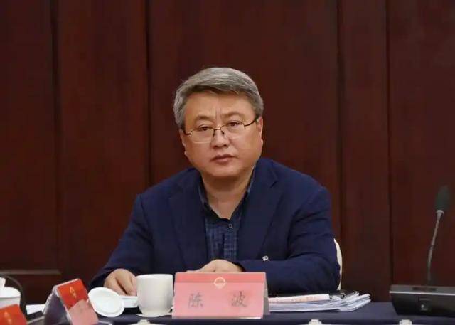 受賄數(shù)額特別巨大、濫用職權(quán)致國家利益遭重大損失，陳波被公訴