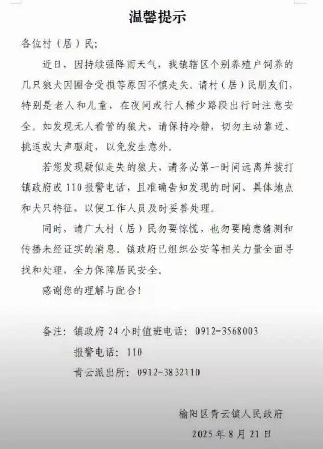 陜西一鎮(zhèn)上有狼外逃？當(dāng)?shù)鼗貞?yīng)：是狼犬，已擊斃21只，還有一兩只在逃