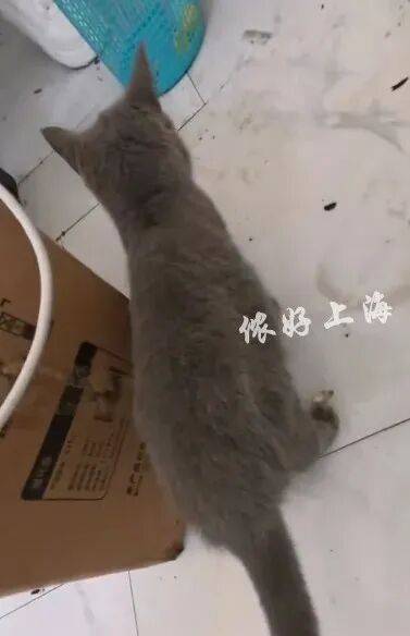 上海一房東崩潰！"00后"情侶租客失聯(lián)，打開房門直呼"辣眼睛"…