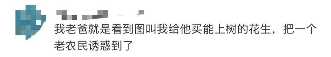 “花生上樹”鬧?。篈I翻車背后，我們都在弄丟常識？