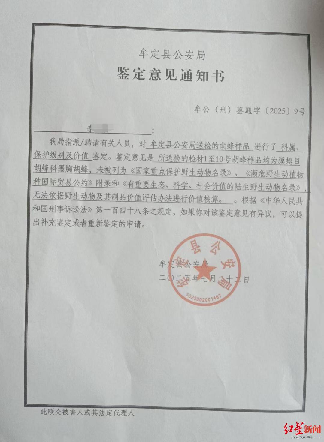 兩兒童遭蜂群蜇傷身亡，養(yǎng)蜂人涉過失致人死亡被立案！胡蜂養(yǎng)殖監(jiān)管存模糊地帶